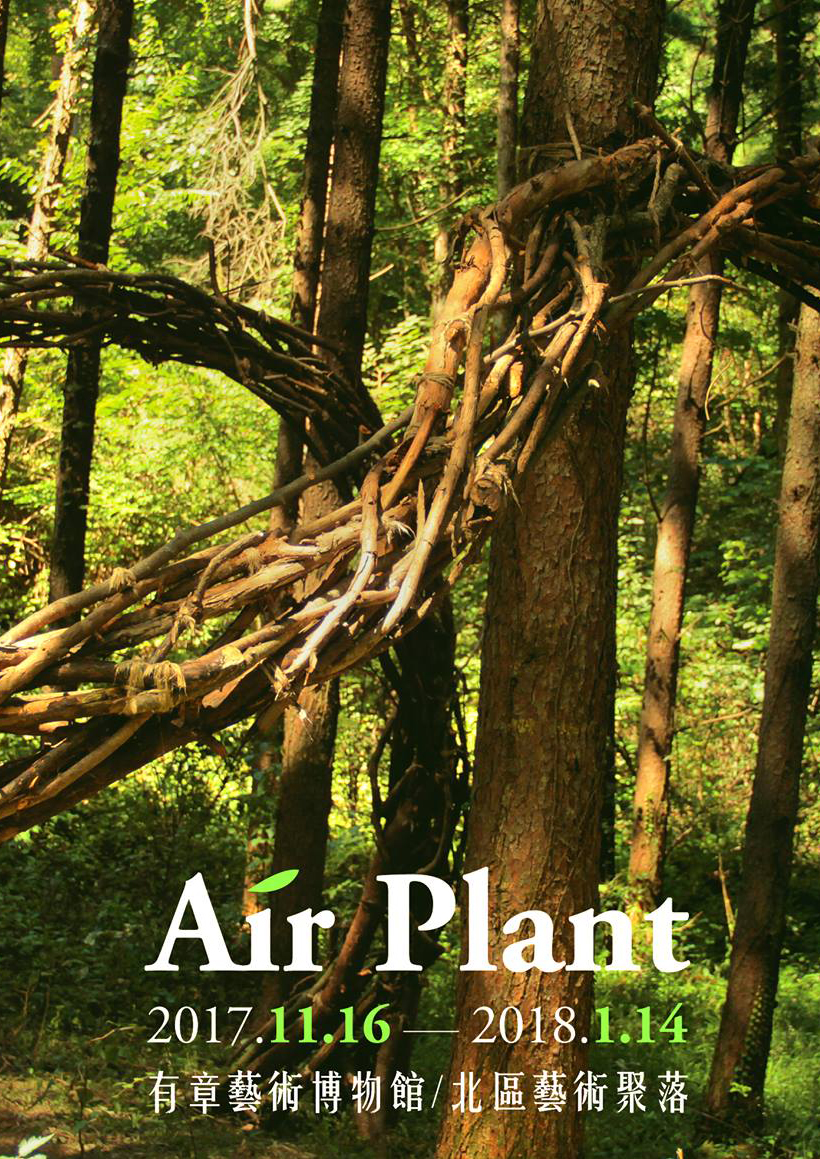 今年秋冬，空氣草(Air Plant)給你耳目一新的繽紛